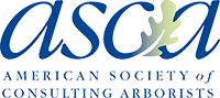 asca_2
