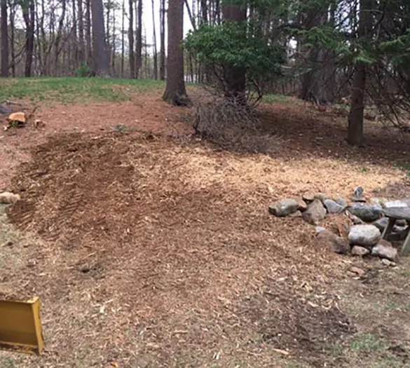 treeremoval-after-min vista-prune-after-min