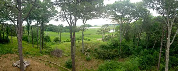 vista-prune-after-min vista-prune-after-min