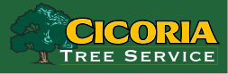 cicoria-logo
