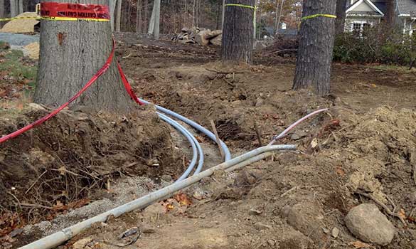 construction-damage-mitigation-min tree-pruning-min