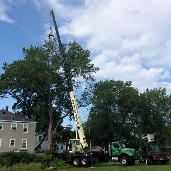 HENRY ON THE BALL OF THE CRANE PREPARING FOR A REMOVAL